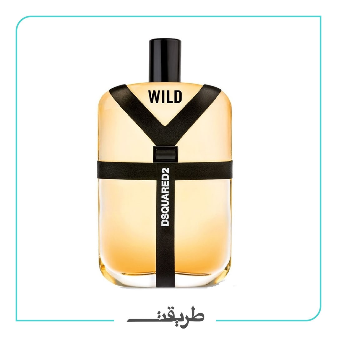 dsquared2 - wild edt 50